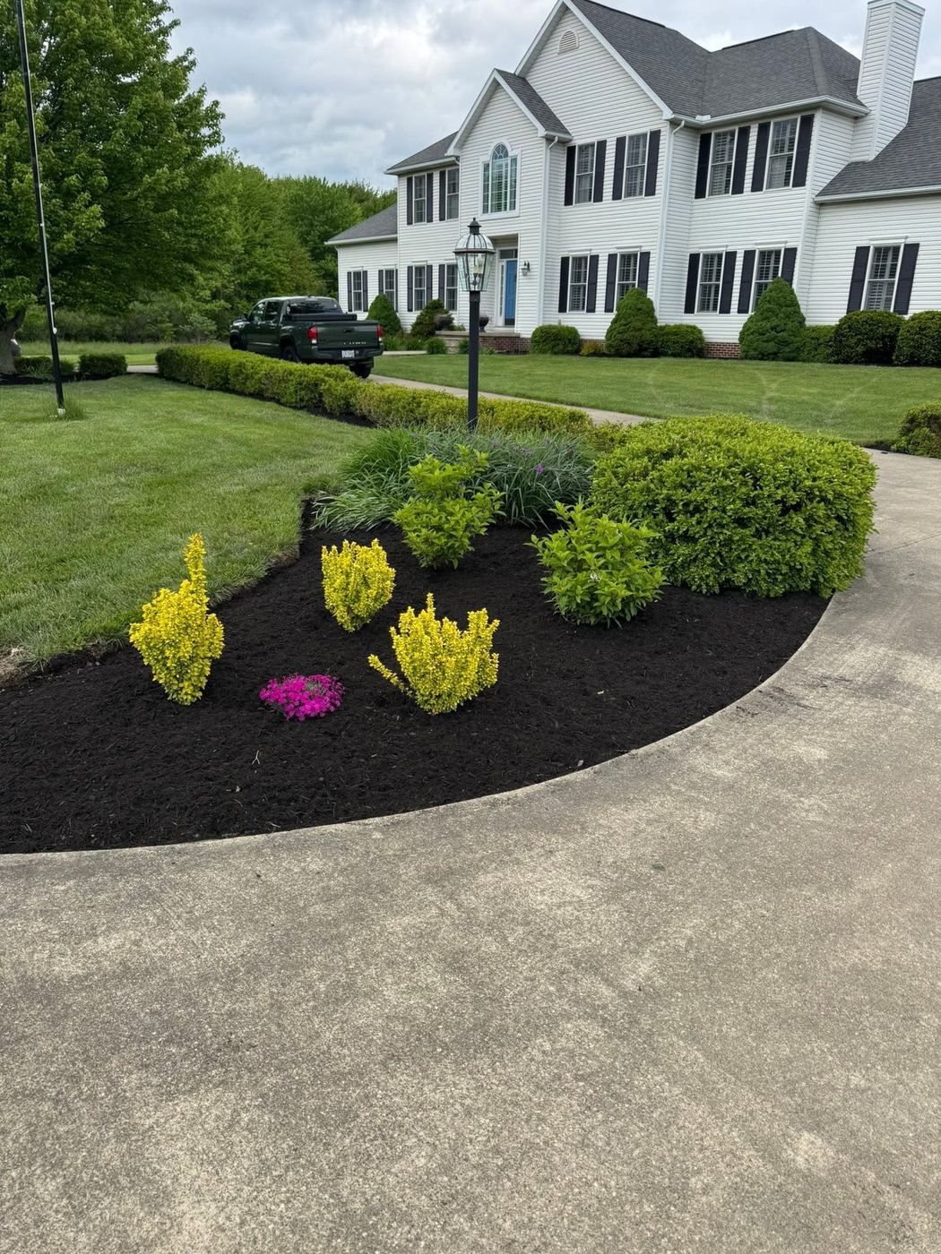 Curved landscape bed with colorful shrubs and fresh mulch beside a large colonial home