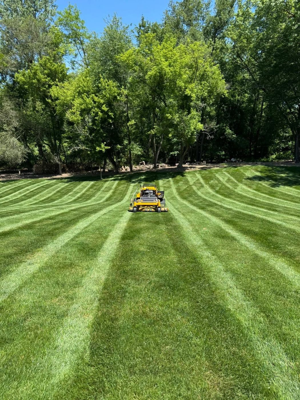 Campbell's Lawn Care zero-turn mower cutting stripes into a wide lawn along a tree line
