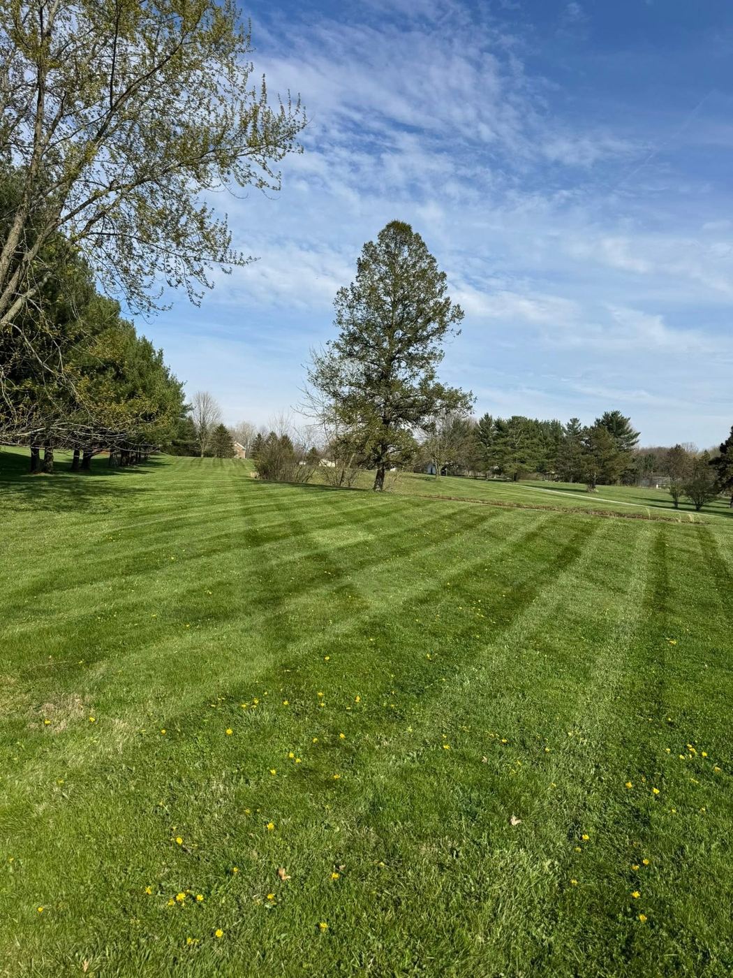 Wide open striped lawn on a large rural property