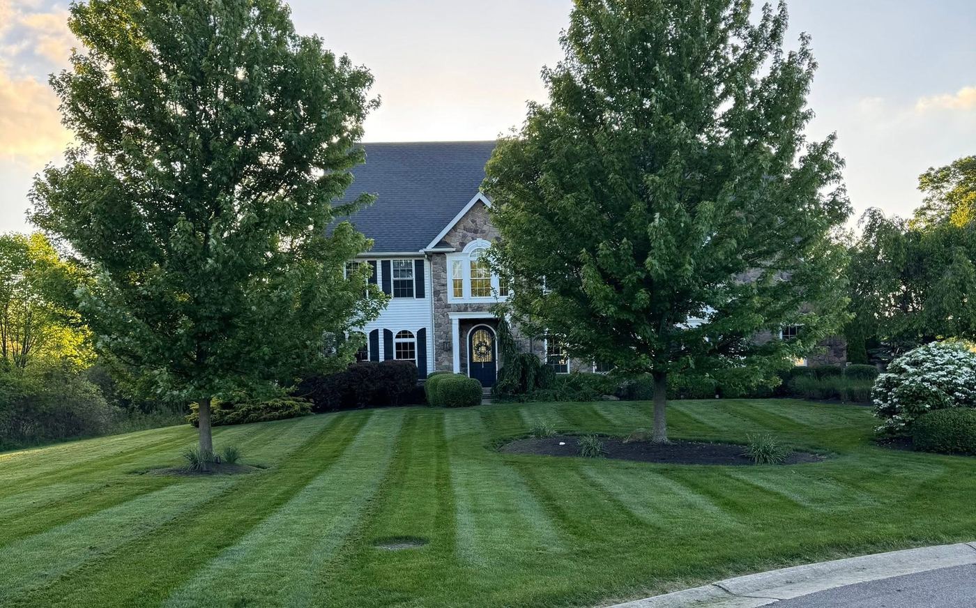 Freshly striped front lawn framed by two mature trees at dusk