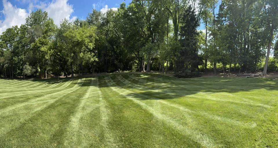 Wide striped lawn meeting a mature tree line