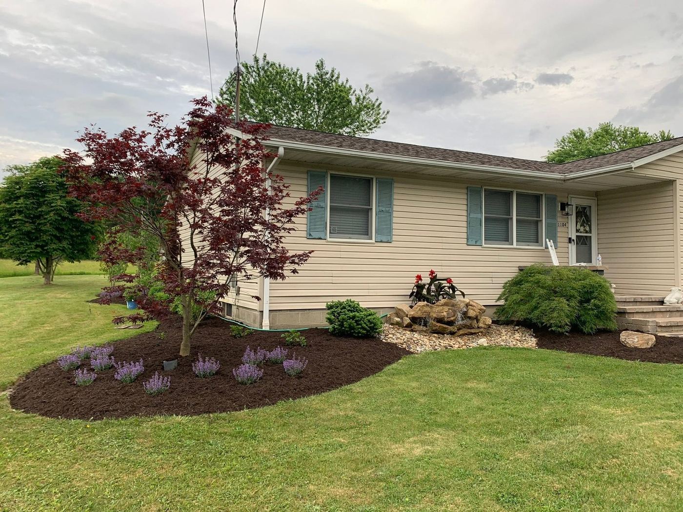 Japanese maple and flowering perennials in a freshly mulched bed beside a home
